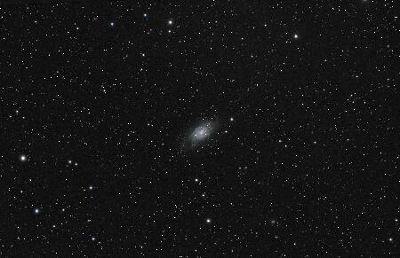 NGC2403_PGC21396, 2025-02-18, 11x200R 10x200G 15x200B 16x200L, APO100Q, (Red Green Blue Luminance), Toupcam_bin2x2.jpg